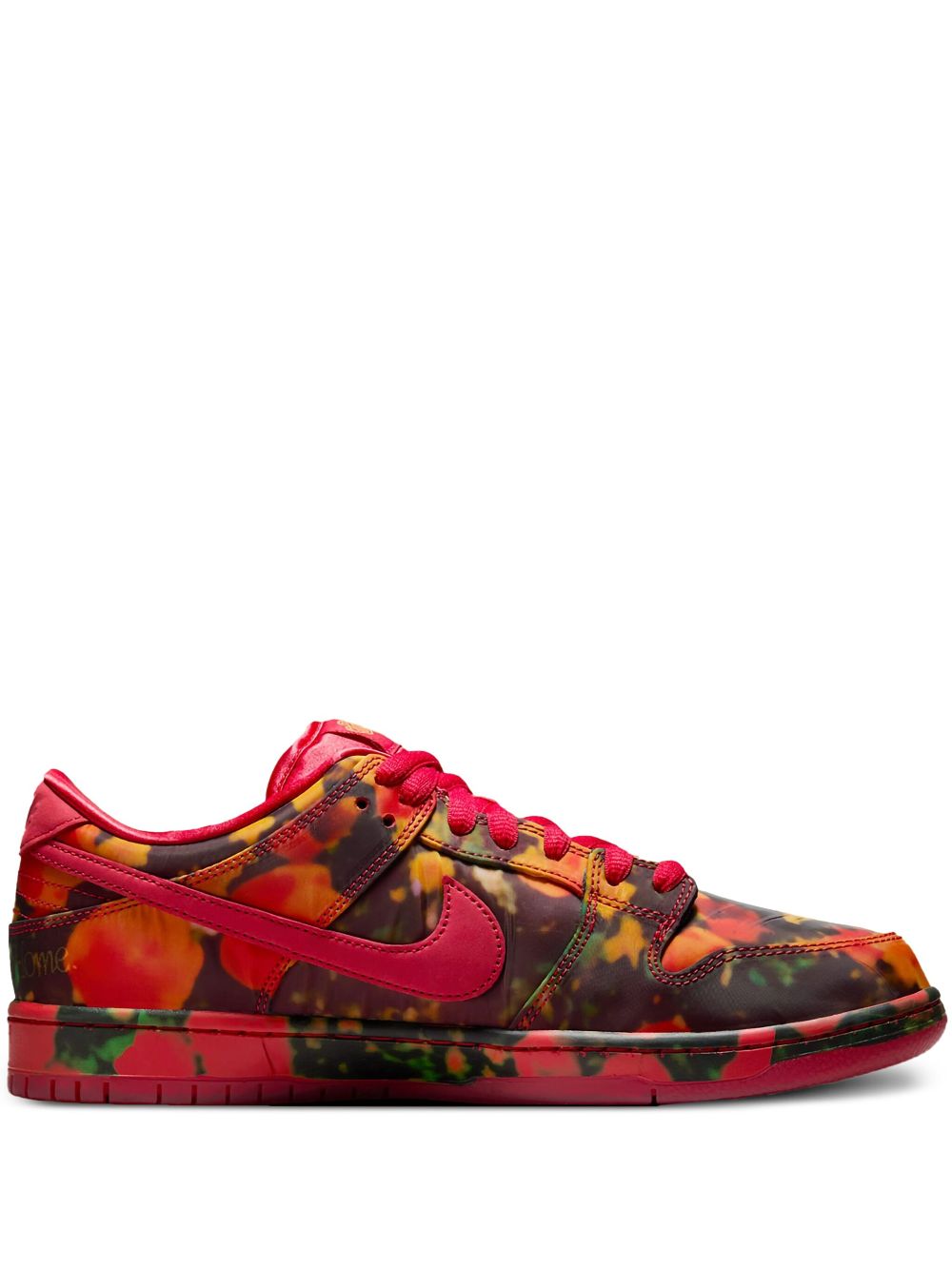 Nike x The Wizard of Oz SB Dunk Low Pro sneakers Nike Jordan
