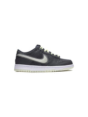 Nike Kids Dunk Low sneakers Nike kids